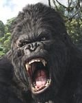 pic for King Kong